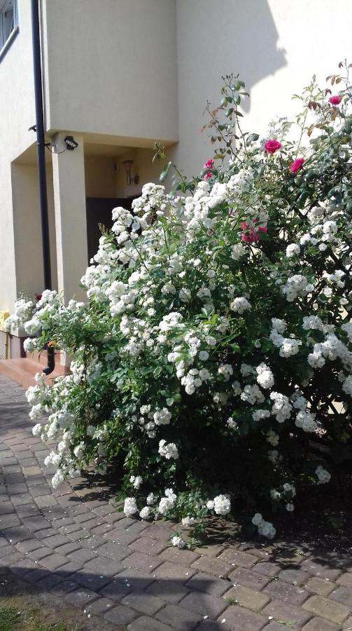 Villa Honoratka Z Prywatnym Polem Do Gry W Mini Golf レバル エクステリア 写真