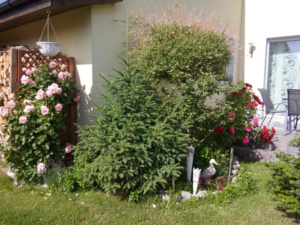 Villa Honoratka Z Prywatnym Polem Do Gry W Mini Golf レバル エクステリア 写真