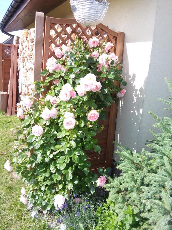 Villa Honoratka Z Prywatnym Polem Do Gry W Mini Golf レバル エクステリア 写真
